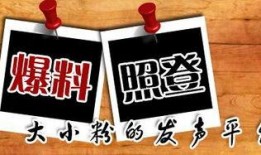 新媒体最新爆料,新媒体最新爆料，带你走进神秘事件背后