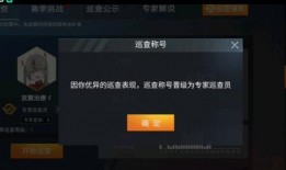 和平精英巡查衣最新爆料,神秘巡查员造型曝光，游戏体验再升级