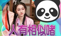 新瓜最新爆料小故事,揭秘娱乐圈背后的惊人故事