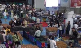 宿迁游客爆料新闻最新,揭秘宿迁旅游新亮点，体验非凡之旅